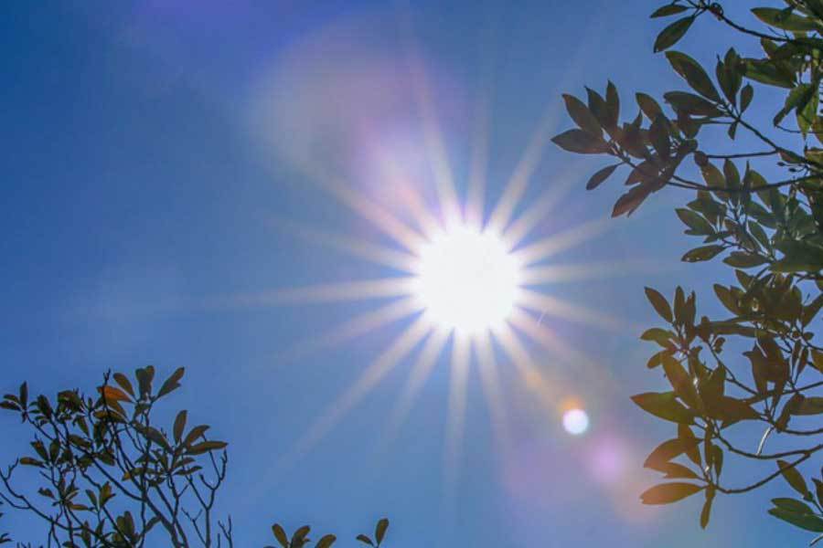 阿根廷, 银幕咆哮